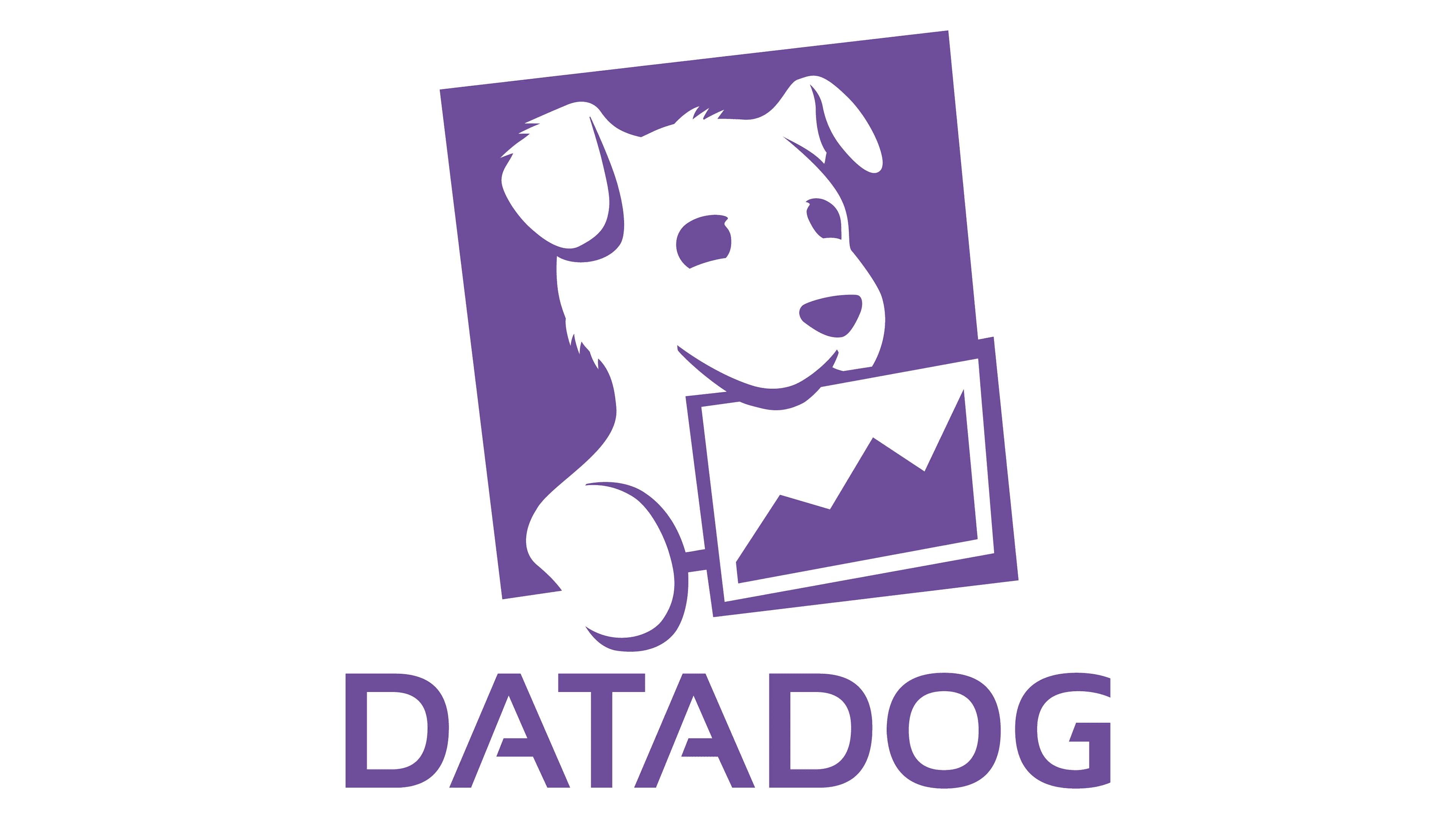 Logo DATADOG